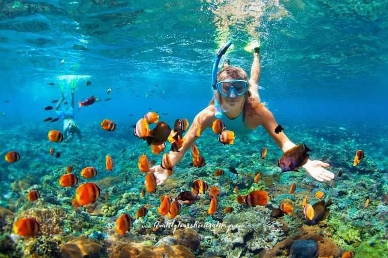 Cozumel & Snorkel | Quality Tours Riviera Maya