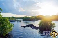 Cenotes tour con Snorkel en Caleta