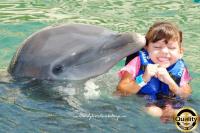 Delfines en Riviera Maya