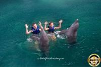 Delfines Cancun Acuario Interectivo