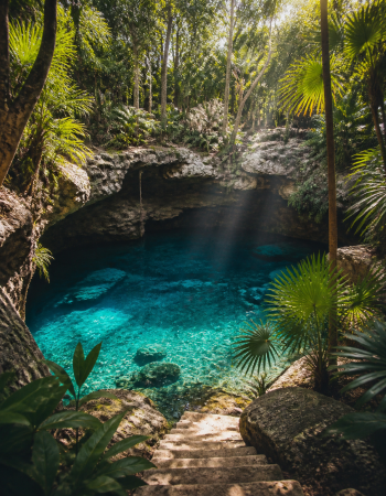 Desde Riviera Maya