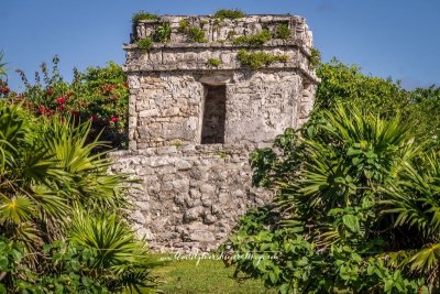 tour viajes riviera maya